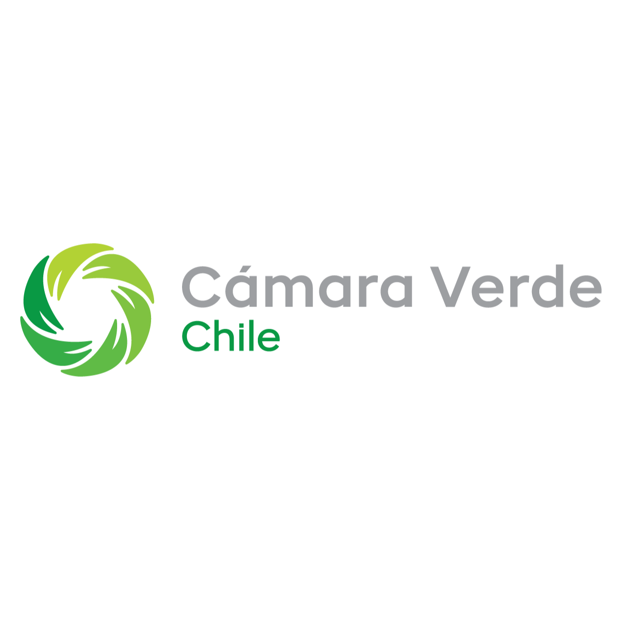 Camara Verde Chilena